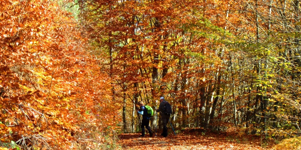 Bolu Mengen Çıraklar Doğa Yürüyüşü
