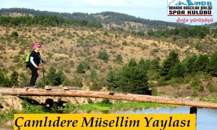 Müsellim Yaylası Sportif Doğa Yürüyüşü