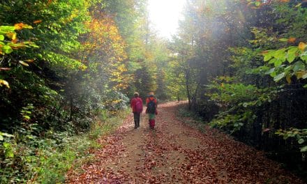 MENGEN BAŞYELLİCE SPORTİF DOĞA YÜRÜYÜŞÜ (BOLU)