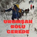 URUMŞAH YAYLASI BOLU GEREDE